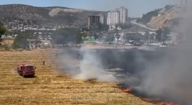 Kuşadası'ndaki kuru ot yangını itfaiyenin hızlı müdahalesiyle söndürüldü