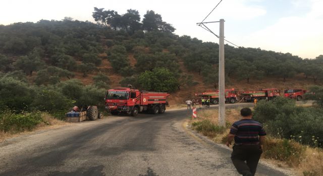 Germencik'teki yangın kontrol altına alındı