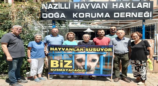 Hayvanseverler sokak hayvanları için ayakta: 'Katliama izin vermeyeceğiz'