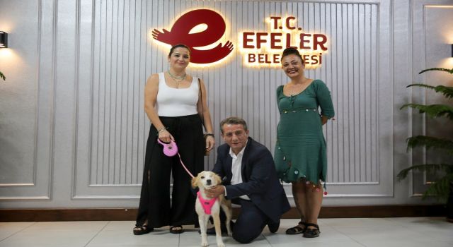 Efeler Belediye Başkanı Yetişkin: "Efeler'deki her can güvende"