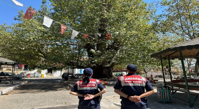 Jandarma ‘kültürel miraslara’ sahip çıkıyor