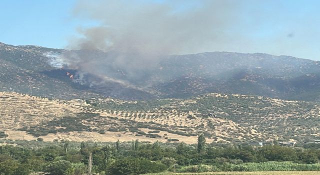 Nazilli’de makilik yangınını söndürme çalışmaları devam ediyor