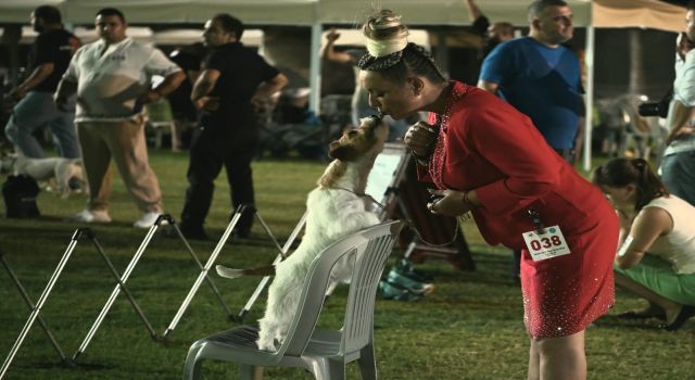 Kuşadası'nda renkli köpek şöleni: 'International Dog Show' sona erdi