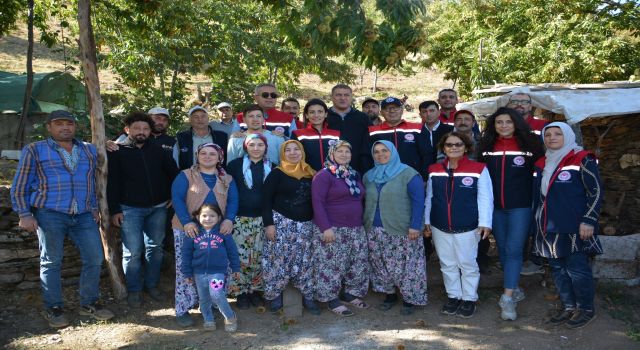 Aydın İl Tarım Müdürü Altıntaş: "Aydın kestane üretiminde birinci sırada yer alıyor"