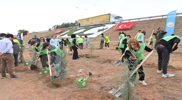 Aydın’da binlerce fidan toprakla buluşacak