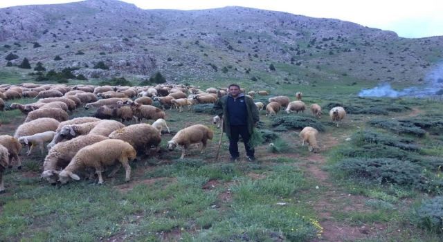 Aydın'da düzenlenen Yörük Çalıştayı'nın sonuç raporu yayınlandı