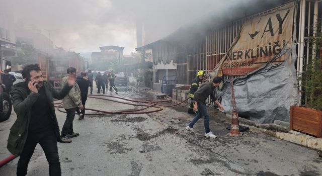 Veteriner kliniği alevlere teslim oldu