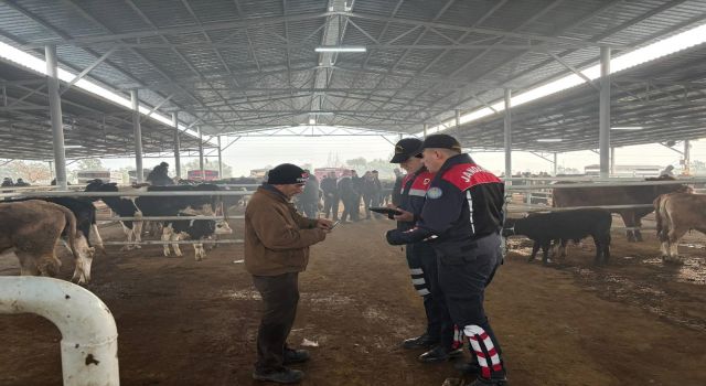 Jandarmadan, hayvan pazarında 'dolandırıcı' denetimi