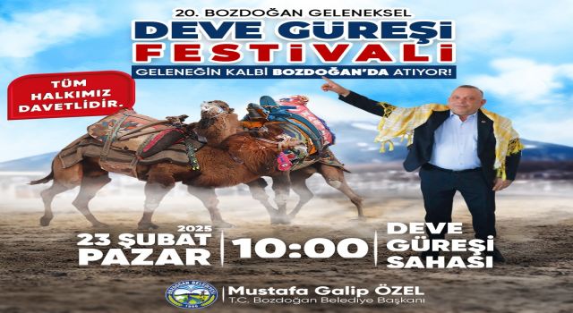 Bozdoğan’da 20. Geleneksel Deve Güreşleri Festivali İçin Geri Sayım Başladı!