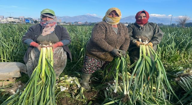 Çalışarak sağlığını koruyor 