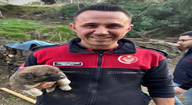 Kanal borusuna sıkışan köpeği itfaiye kurtardı