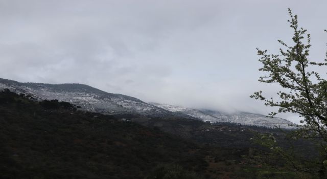 Aynı karede hem bahar, hem kış