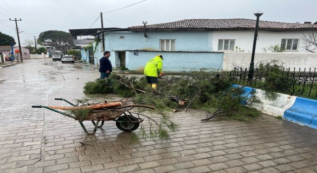 İncirliova’da fırtına etkili oldu
