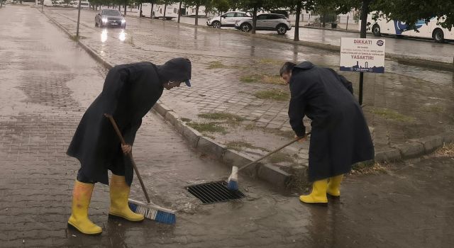 Didim'de mazgallar temizlendi