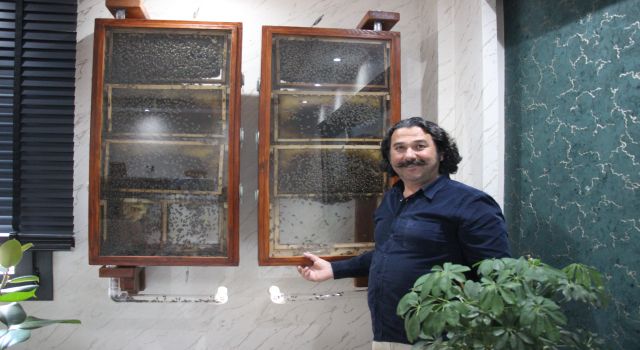 Fabrikasında 5 bin işçi ile 'bal' gibi çalışıyor