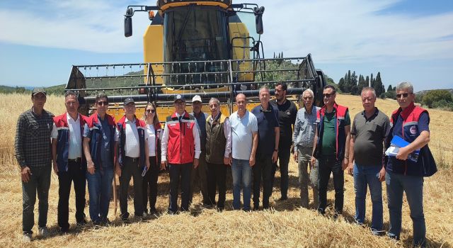 Hububatta hasat dönemi başladı