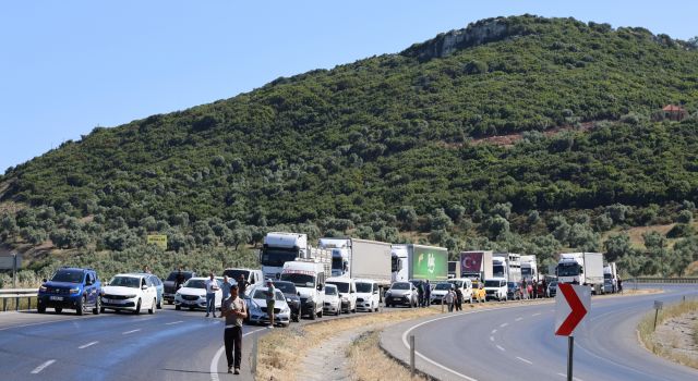 Tankerden dökülen balık yağı karayolunu savaş alanına çevirdi