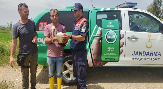 Yaralı leylek 3 aylık tedavi sonrası doğaya salındı