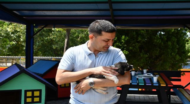 Başkan Günel'den can dostlar için yeni bir hizmet daha