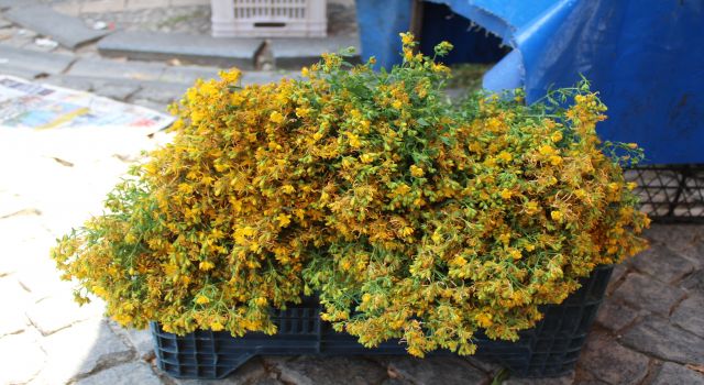 Bu çiçek hediye için değil sağlık için alınıyor