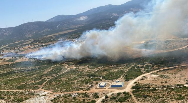 Didim'de makilik alan yangını