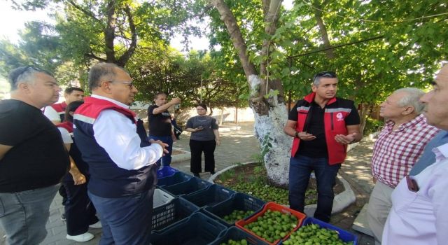 Germencik'te ilek tezgahları denetlendi