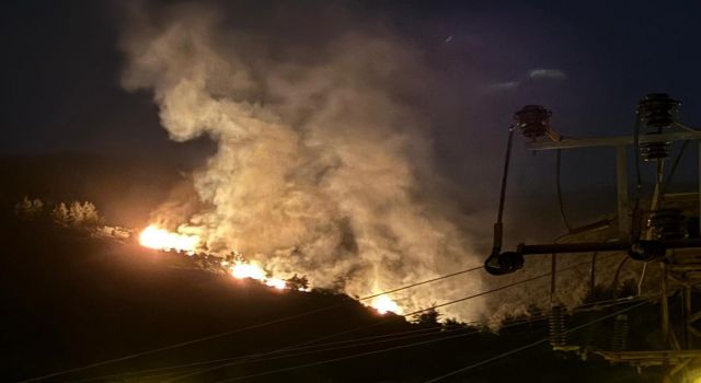 Nazilli'de orman yangını