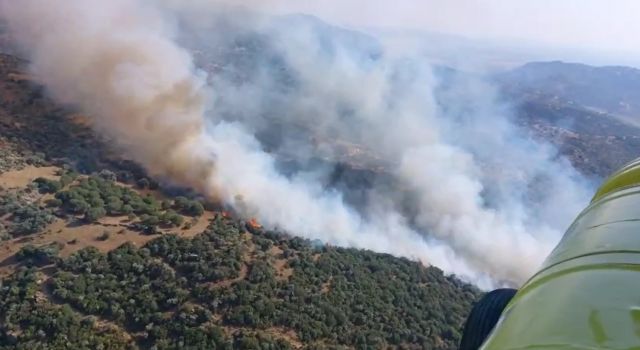 Söke'de zirai alan yangını