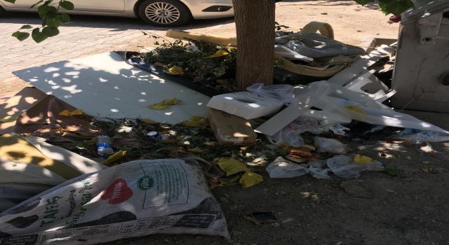 AK Parti Nazilli İlçe Başkanı Beyazıt'tan Belediyeye Çöp Tepkisi: "Halkın Sağlığıyla Oynamayın!"