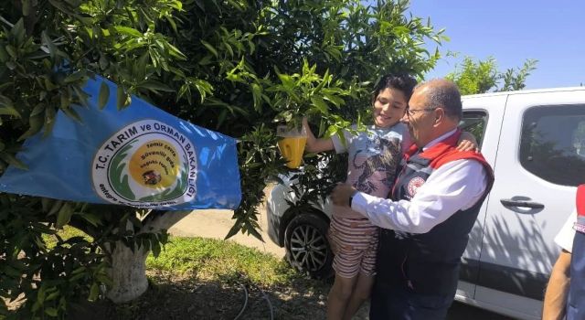 Aydın'da üreticilere 12 bin Akdeniz meyve sineği tuzağı teslim edildi