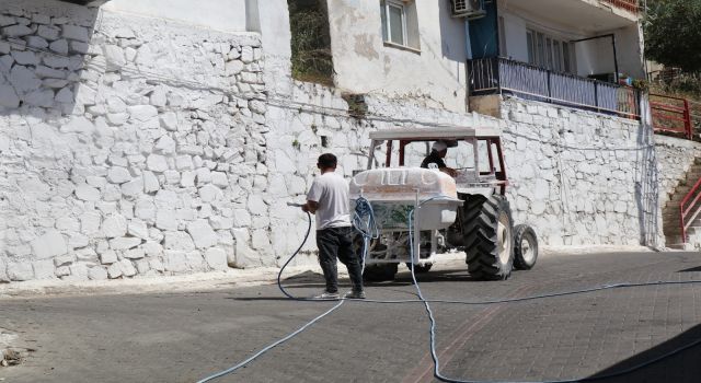 Bozdoğan beyaza boyandı