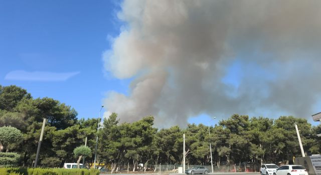 Buca'da orman yangını