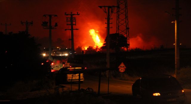 Buca'daki orman yangını yerleşim yerine ulaştı