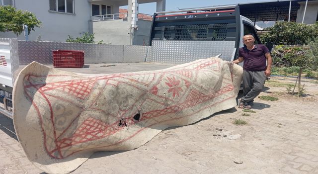 Buharkentliler, kent tarihine sahip çıkıyor