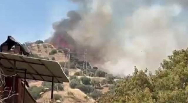 Efeler'de zirai alan yangını