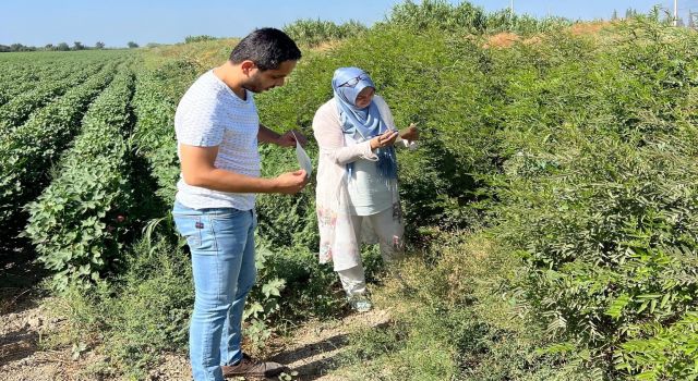 Söke’de ekipler sahaya indi, tuzaklar kontrol edildi