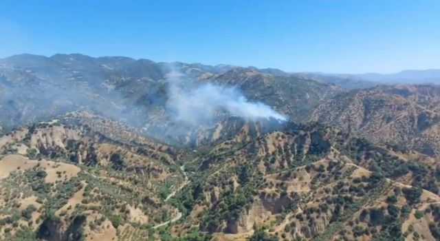 Zeytinlik alanda yangın çıktı, müdahale sürüyor