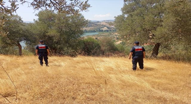 Aydın’da ormanlar jandarma gözetiminde