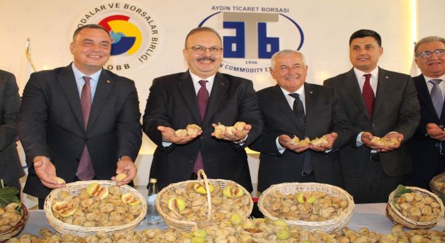 Aydın'da sezonun ilk kuru inciri 800 liradan satıldı