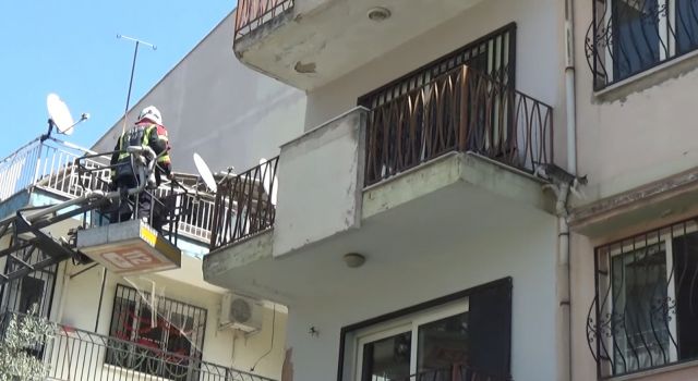 Sevimli kediyi kurtarmak için tüm ekipler seferber oldu, o kurtarılacağı anda atlayıp gitti