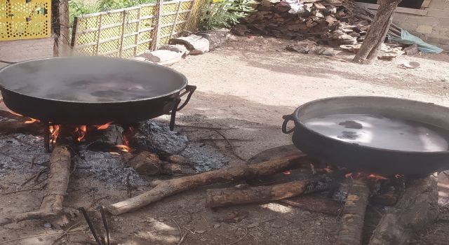 Aydın’da pekmez yapım sezonu başladı