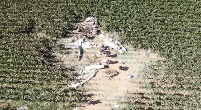 Düşen eğitim uçağının enkazı kaldırıldı