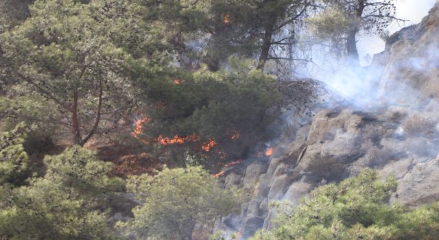 Söke'deki yangın kontrol altına alındı