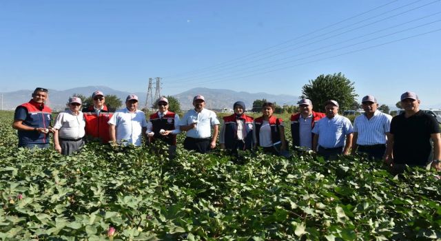 Tarım İl Müdürü Temiz: "Pamuk Aydın için stratejik bir ürün"