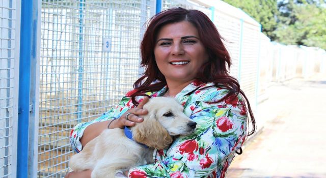 Büyükşehir'den sokak hayvanları için 244 bin metrekarelik yaşam alanı