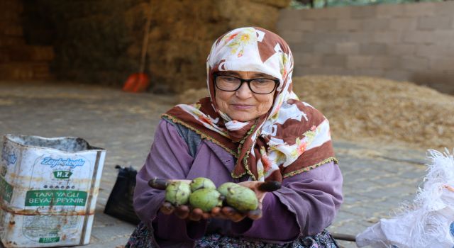 Dursun nine doktor tavsiyesi ile çalışıyor