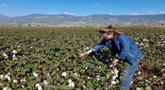 Söke’de 2025 yılı destekleme ürün çalışmaları yapıldı