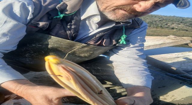 Azap Gölü’nde oltaya takılan tepeli pelikan balıkçıların dikkatiyle kurtuldu