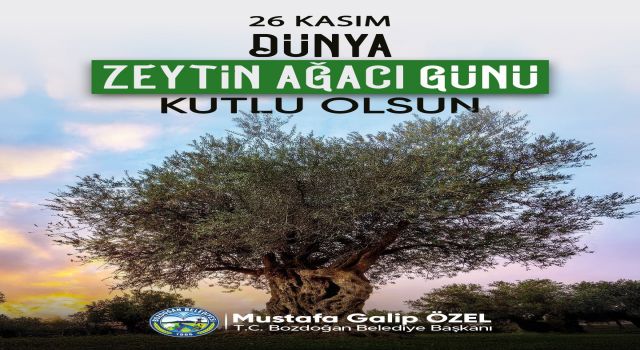 Başkan Özel “Zeytin ağacı geçmişin mirası geleceğin bereketidir”