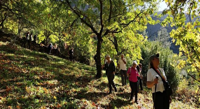 Sonbaharın güzelliğine bürünen Koçak Kanyonu'na dikkat çektiler